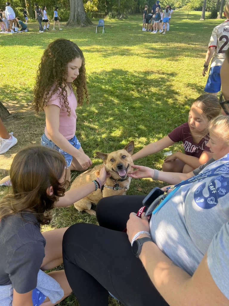 Therapy Dog Day at RIS