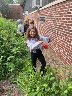 students in garden