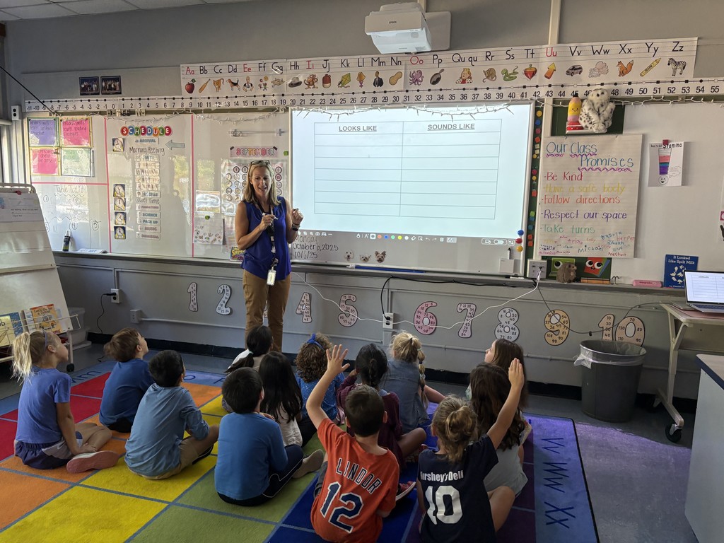 School counselor teaches a lesson.