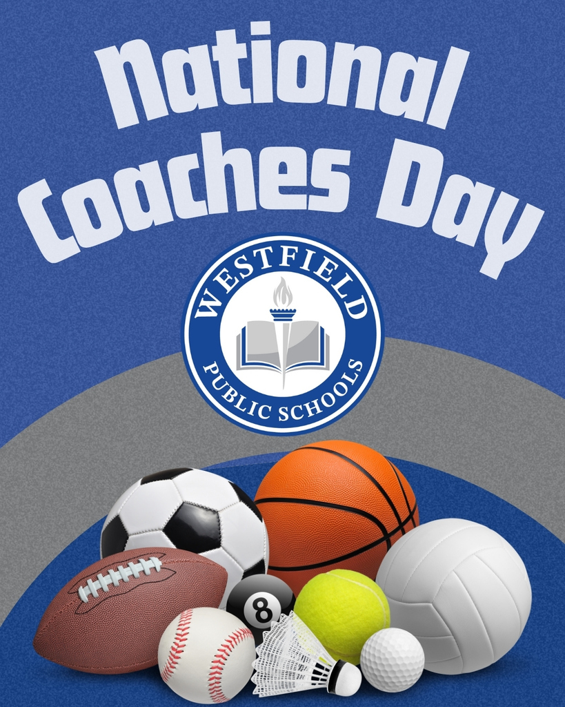 sports graphic for WPS