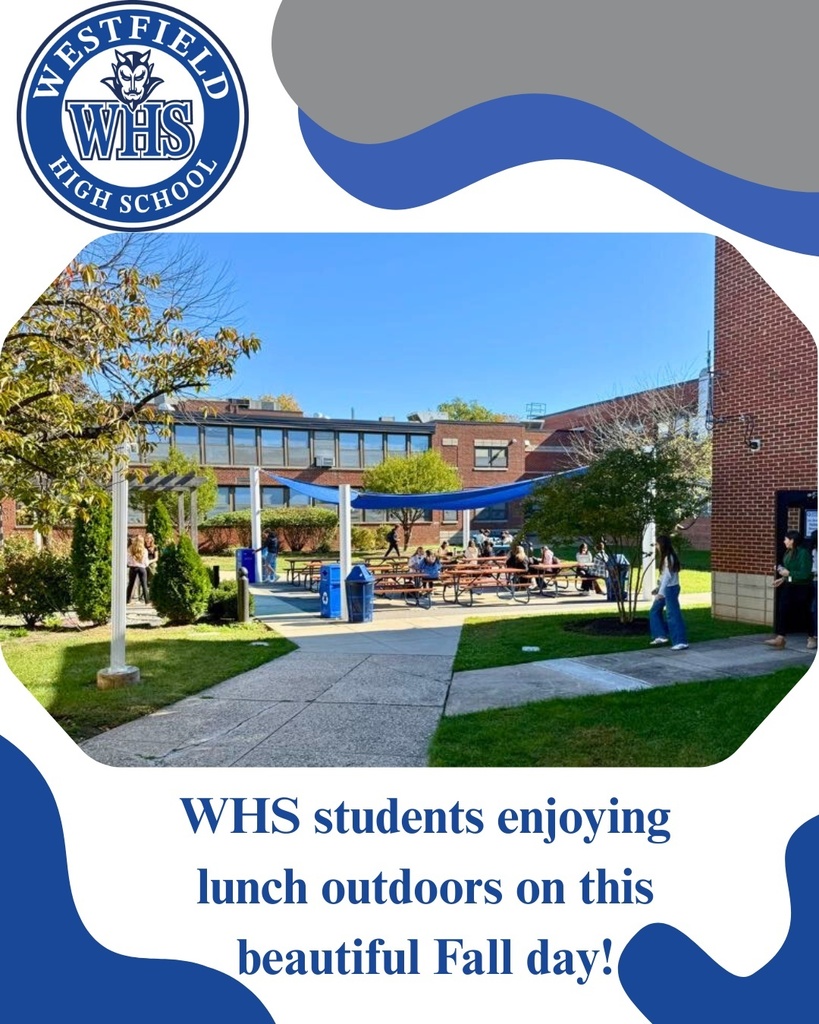 WHS students having lunch outside