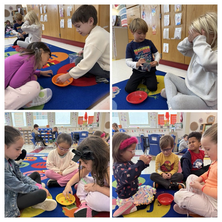 student engage in a math lesson focused on sorting in class