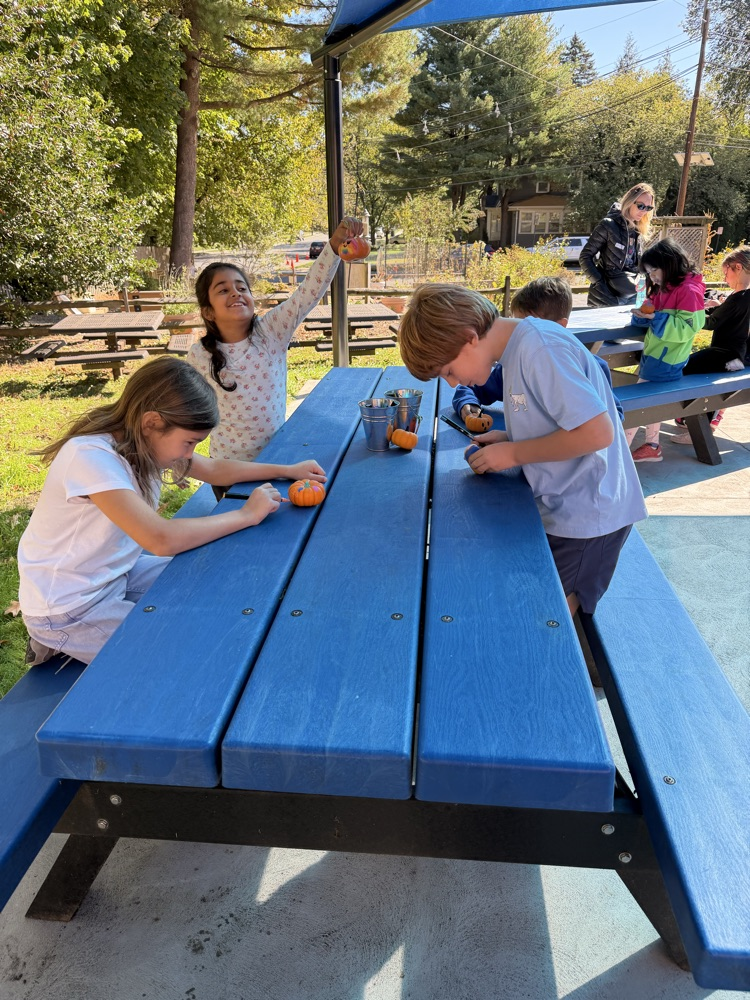 habitat garden activities