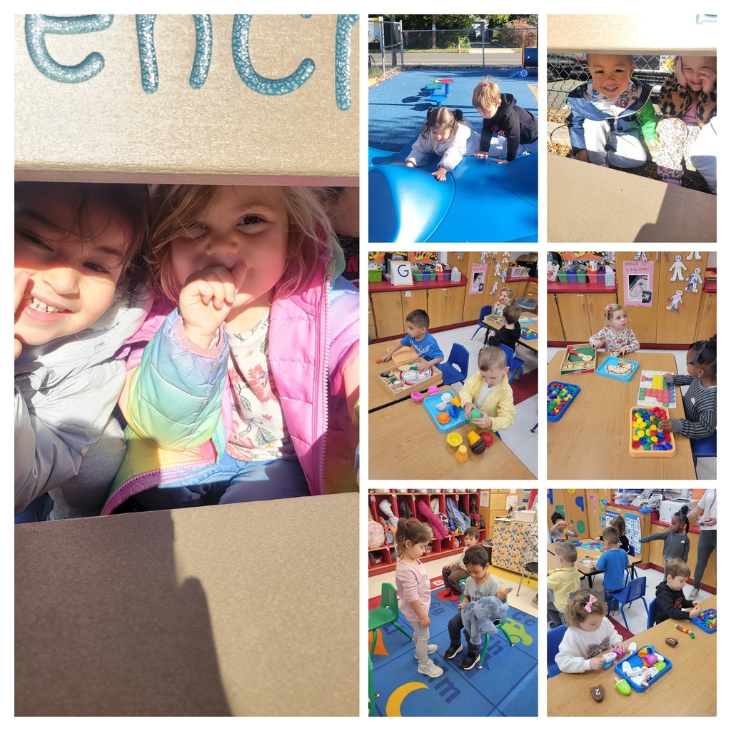 20251023_085930-COLLAGE