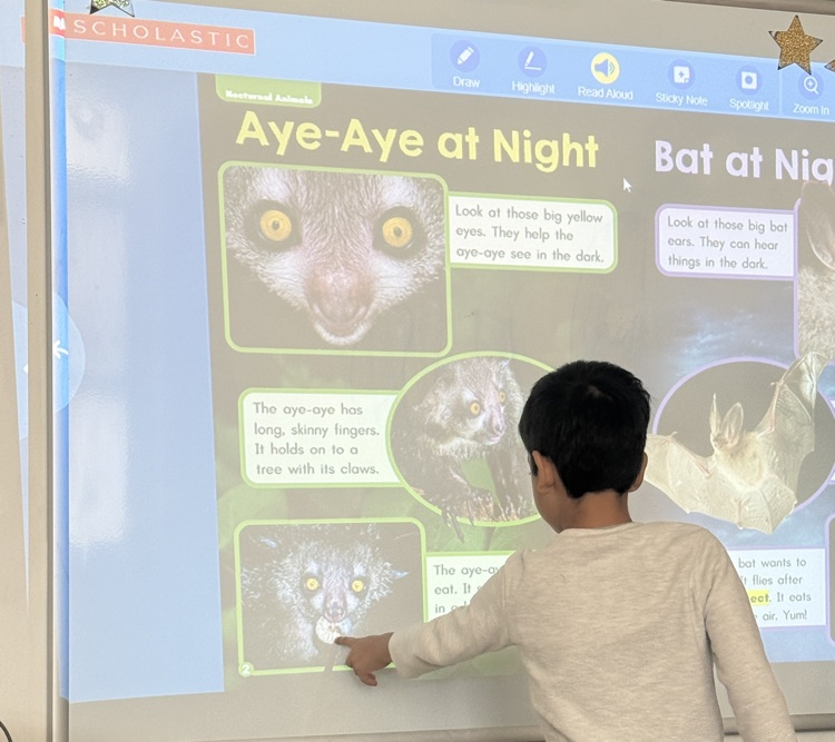 students engage in an interactive whiteboard lesson