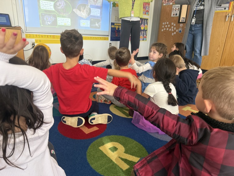 students engage in an interactive whiteboard lesson