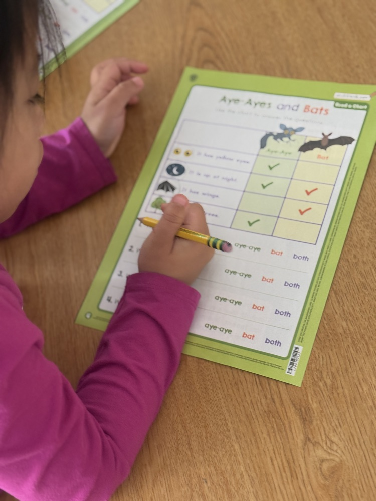 students complete comprehension questions