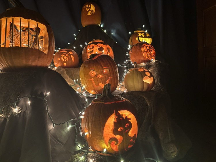 pumpkin luminaries
