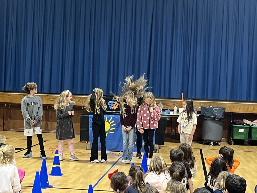 The blower made the hair go wild!