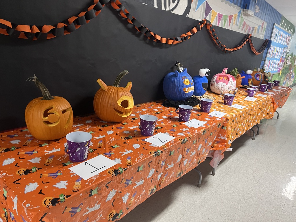 The pumpkins are ready for viewing.