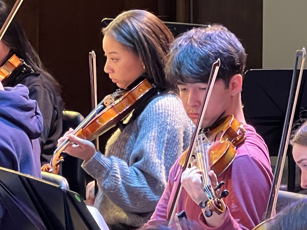 Two Students playing in the orchestra