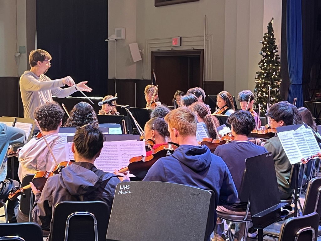 Orchestra Practicing