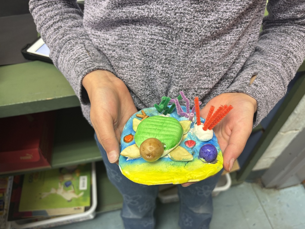Student Created Turtle Seascape