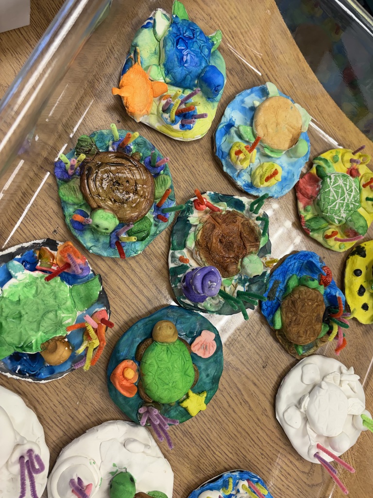 Student Created Turtle Seascape