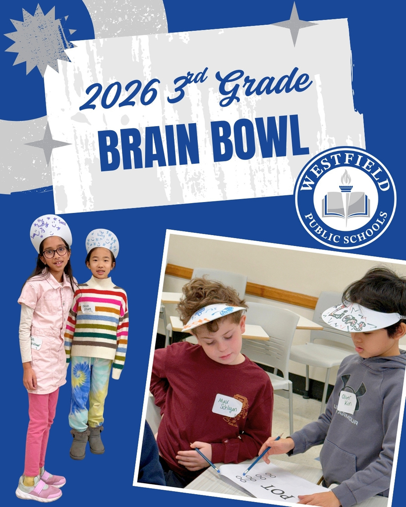 Brain Bowl graphic