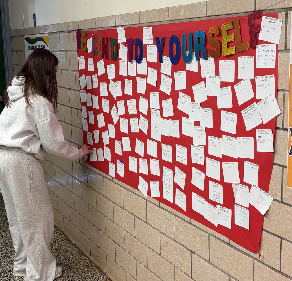 Student adding to display