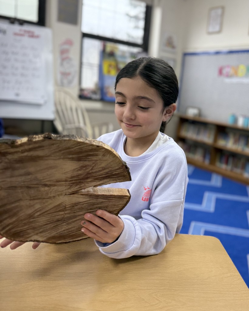 a student exploring a cross section of a tree