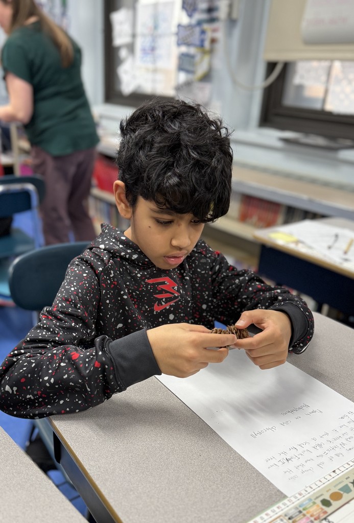 a student exploring a part of a tree
