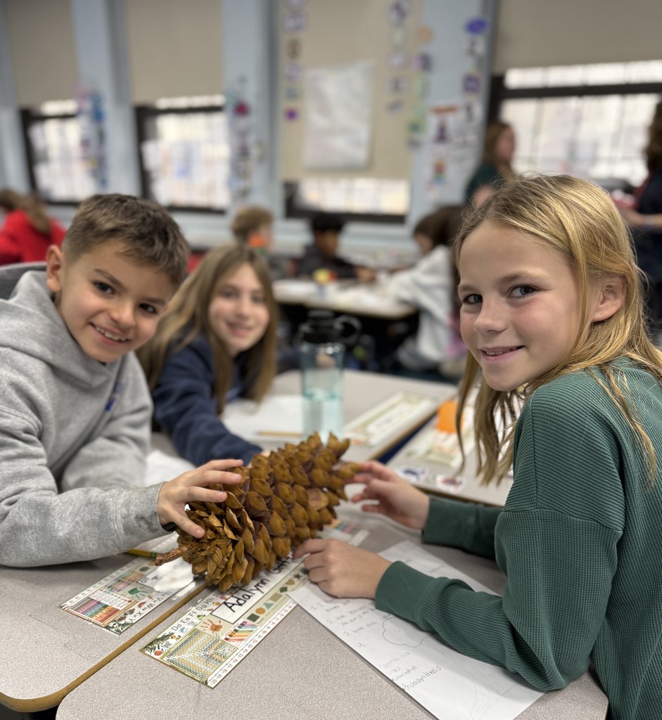 a group of students exploring a pine cone