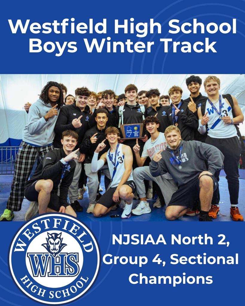 whs boys winter track sectional champions graphic