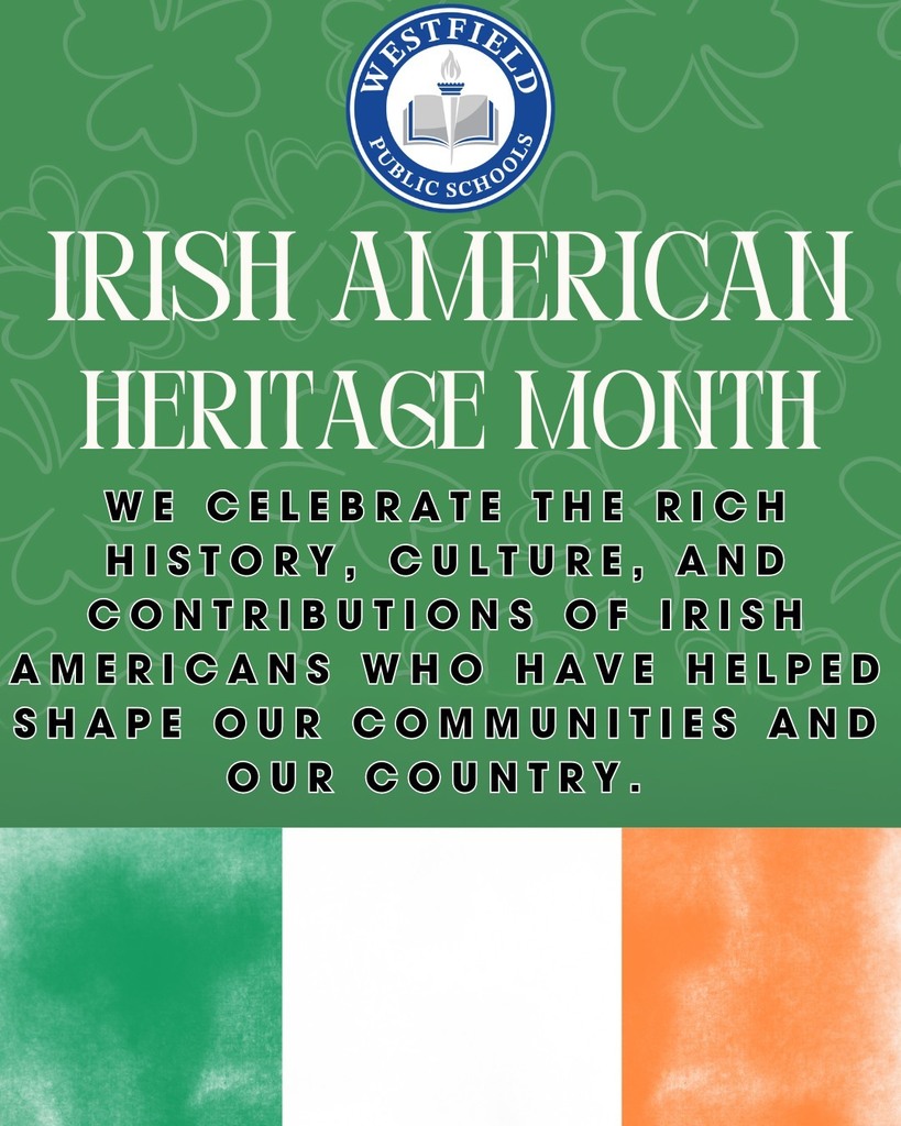 irish american heritage graphic