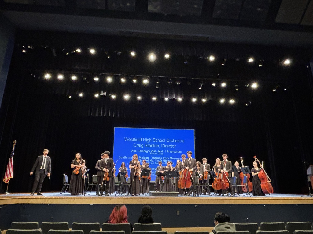 WHS student orchestra with Director and WHS teacher on stage at CJMEA.