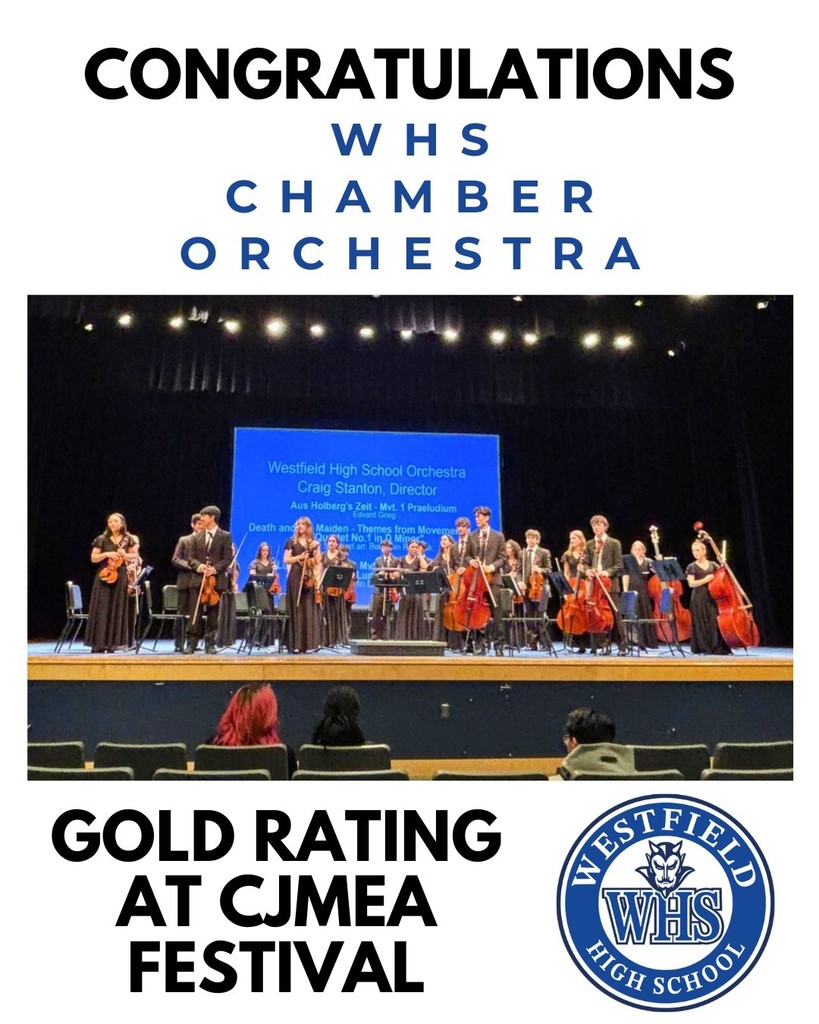 whs chamber orchestra gold rating