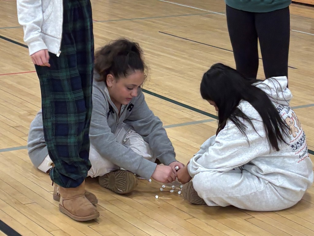 Students participating in wellness day