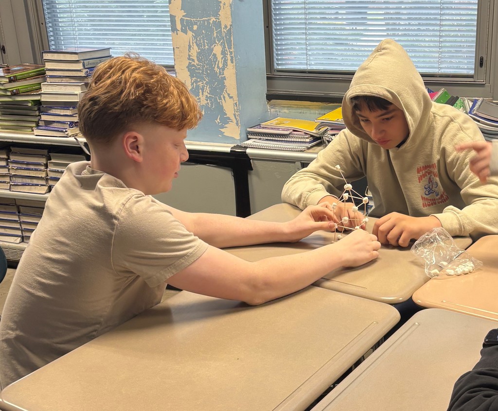 Students participating in wellness day