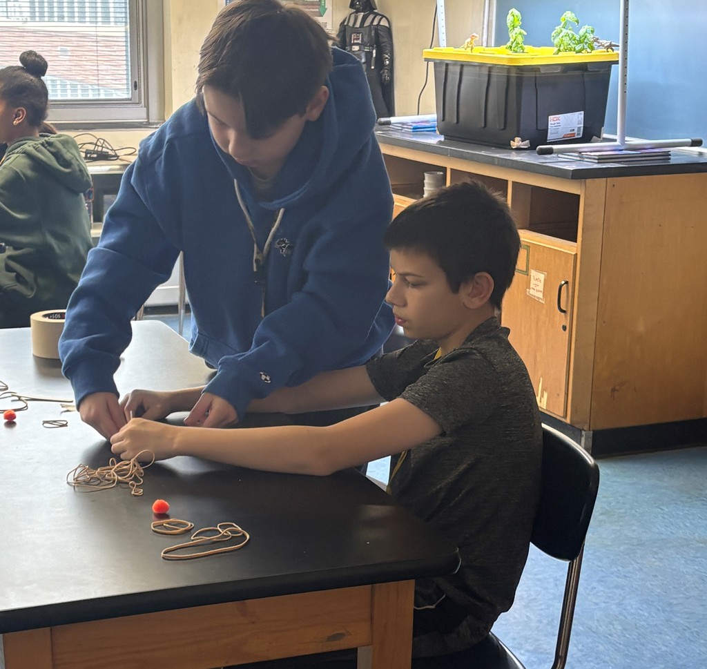 Students participating in wellness day