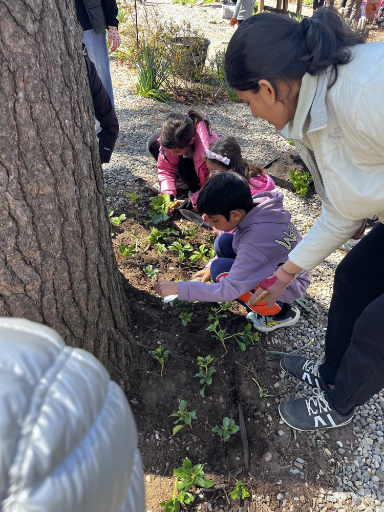 students in the garden 
