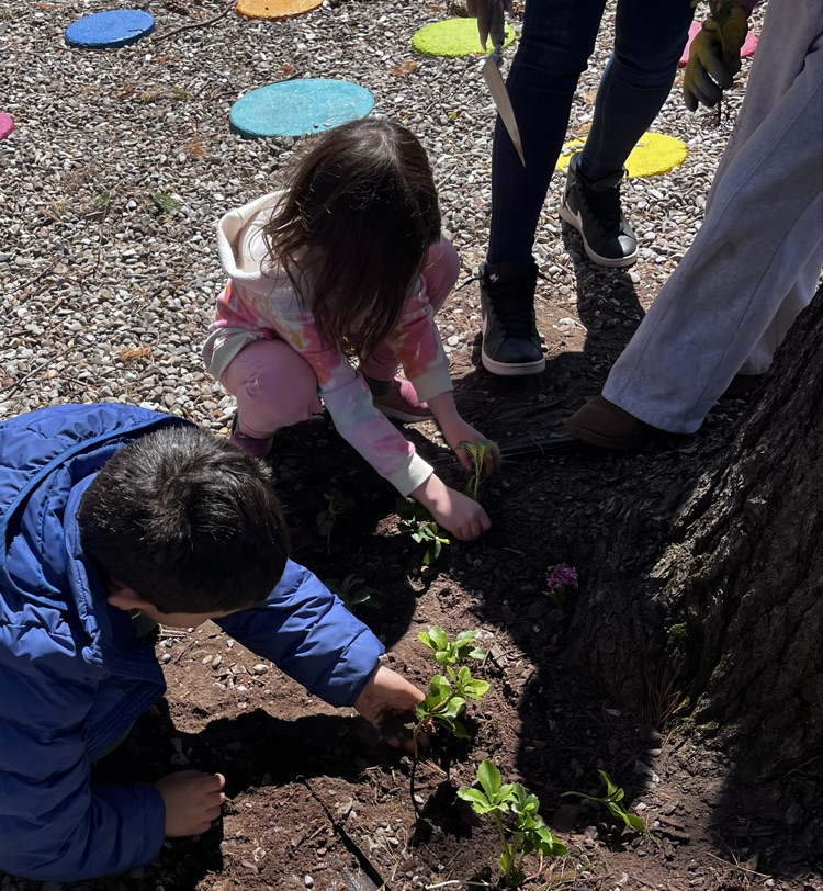 students in the garden 