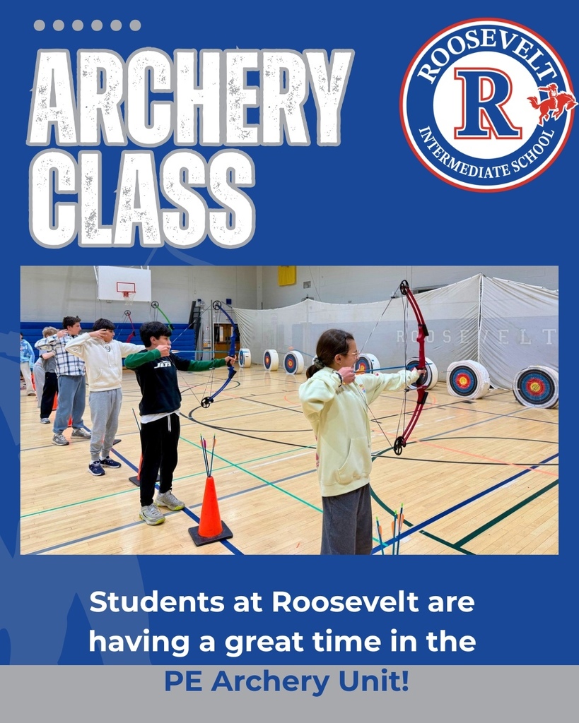 RIS archery unity graphic