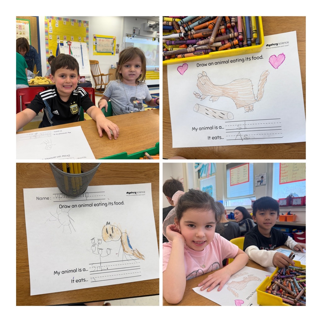 students demonstrate their understanding of what animals need to survive