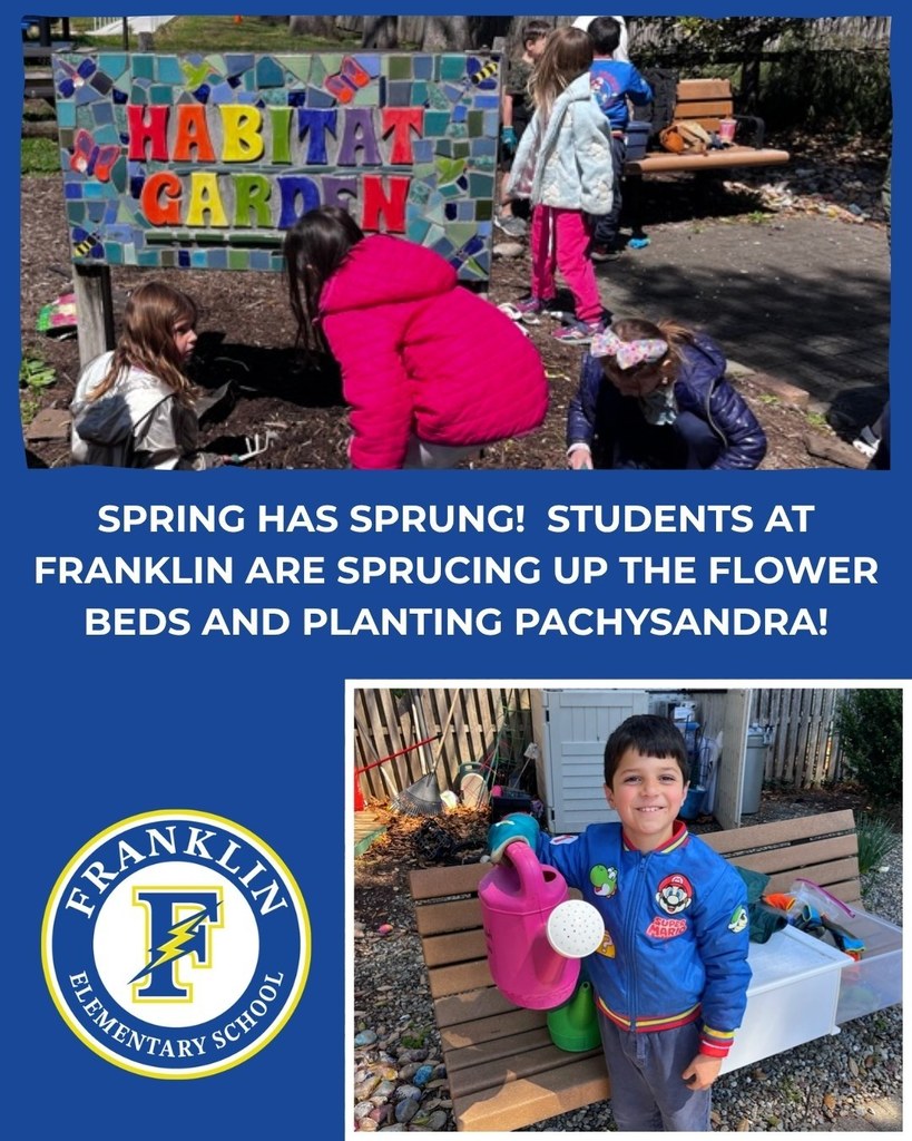 franklin spring cleanup graphic