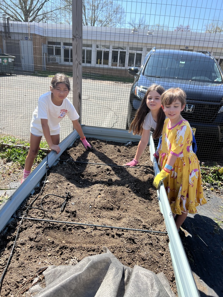 Students weeding their raised bed.