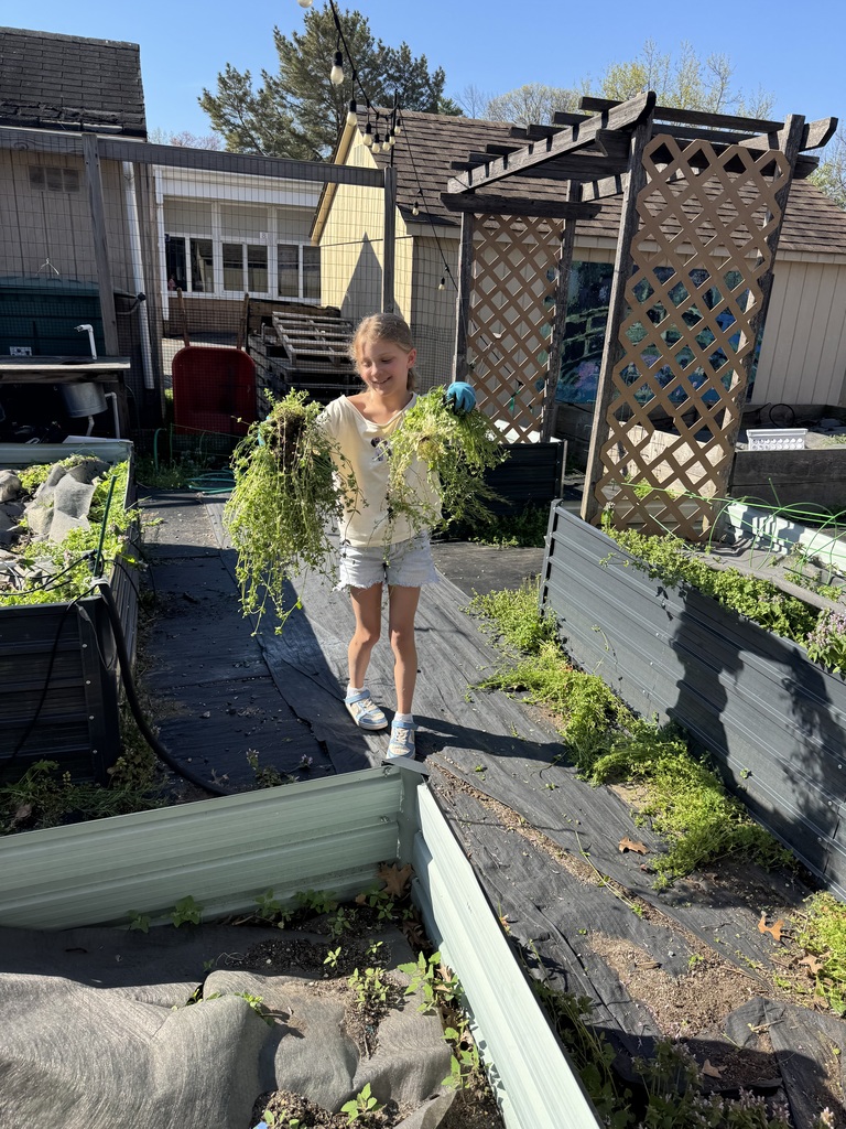 Student shows off all the weeds they pulled.