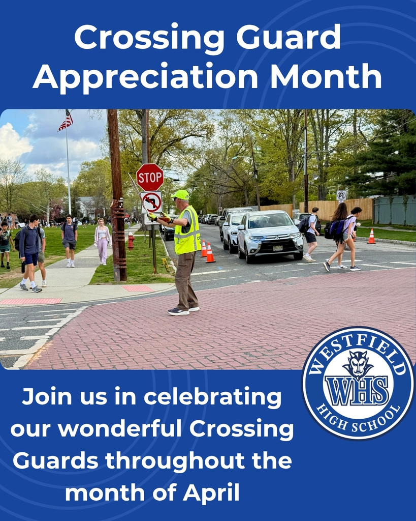 crossing guard graphic