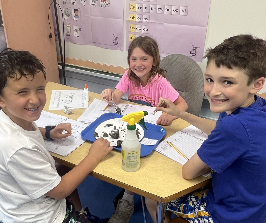 students conducting an owl pellet dissection