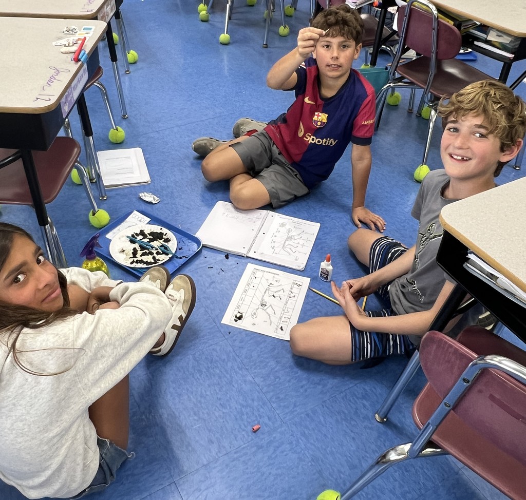 students conducting an owl pellet dissection