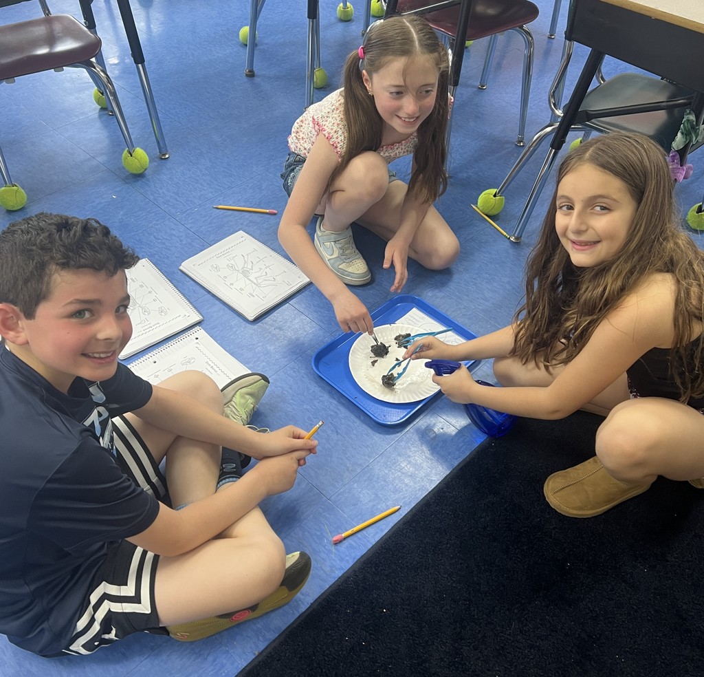 students conducting an owl pellet dissection