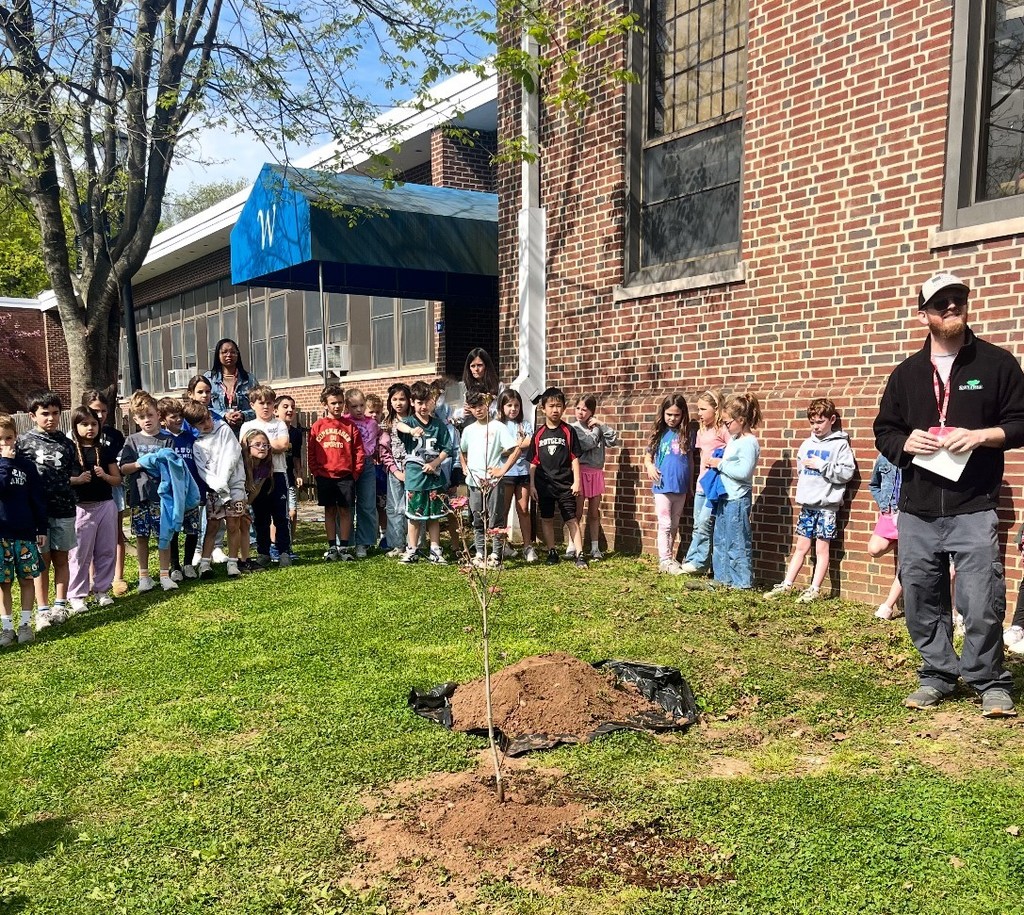 students watching as a new tree is planted