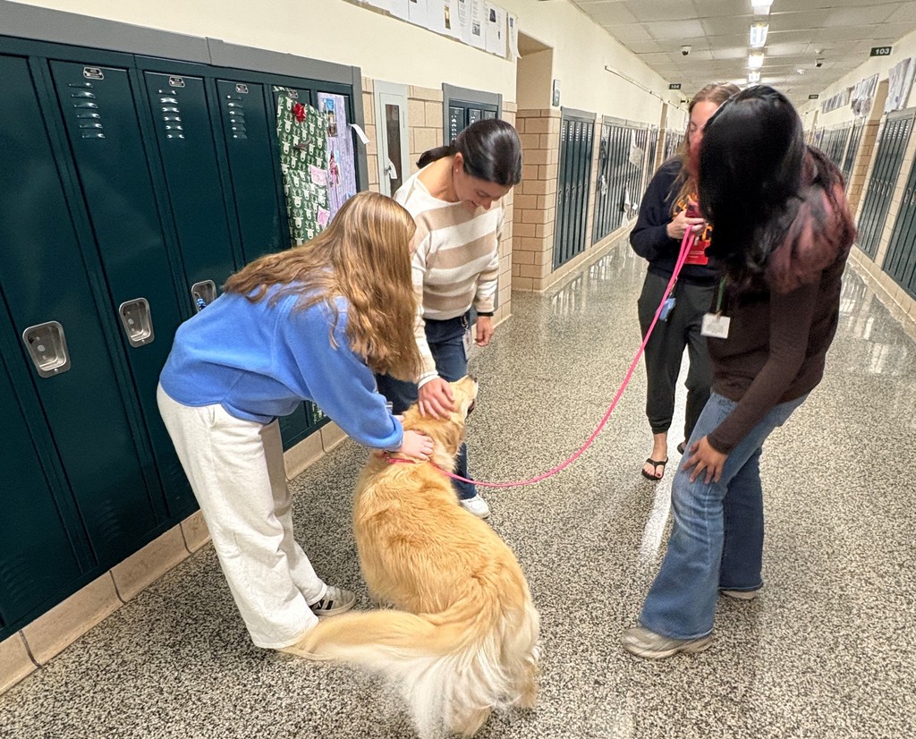 Students petting Maggie our therapy dog