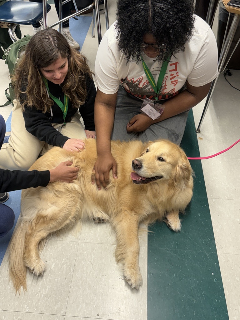 Students petting Maggie our therapy dog