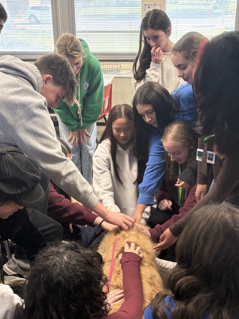 Students petting Maggie our therapy dog