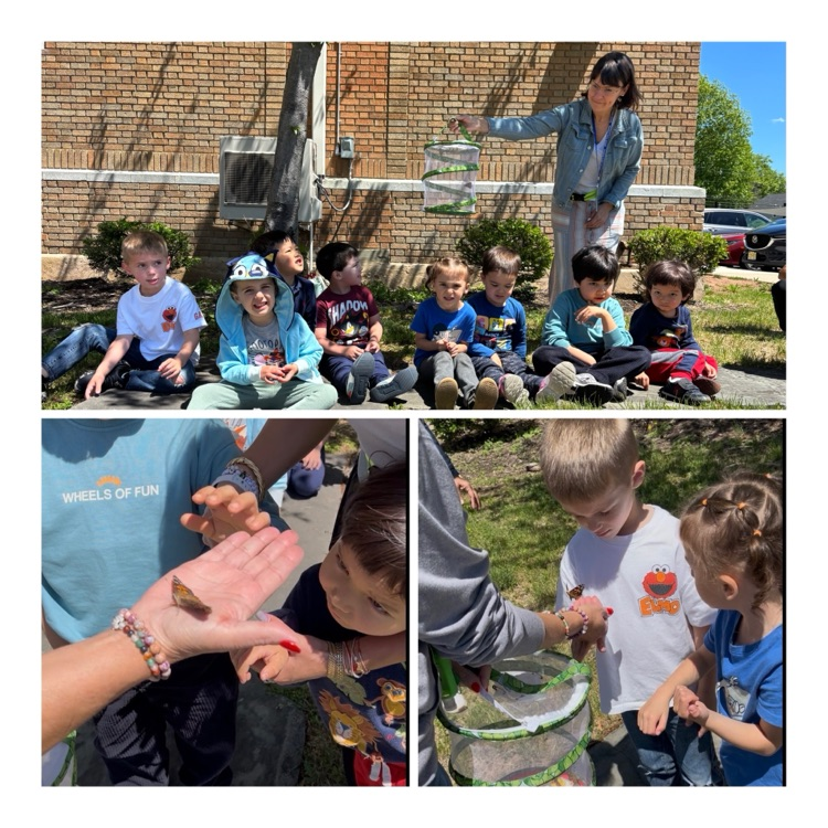 students enjoy the release of their butterflies