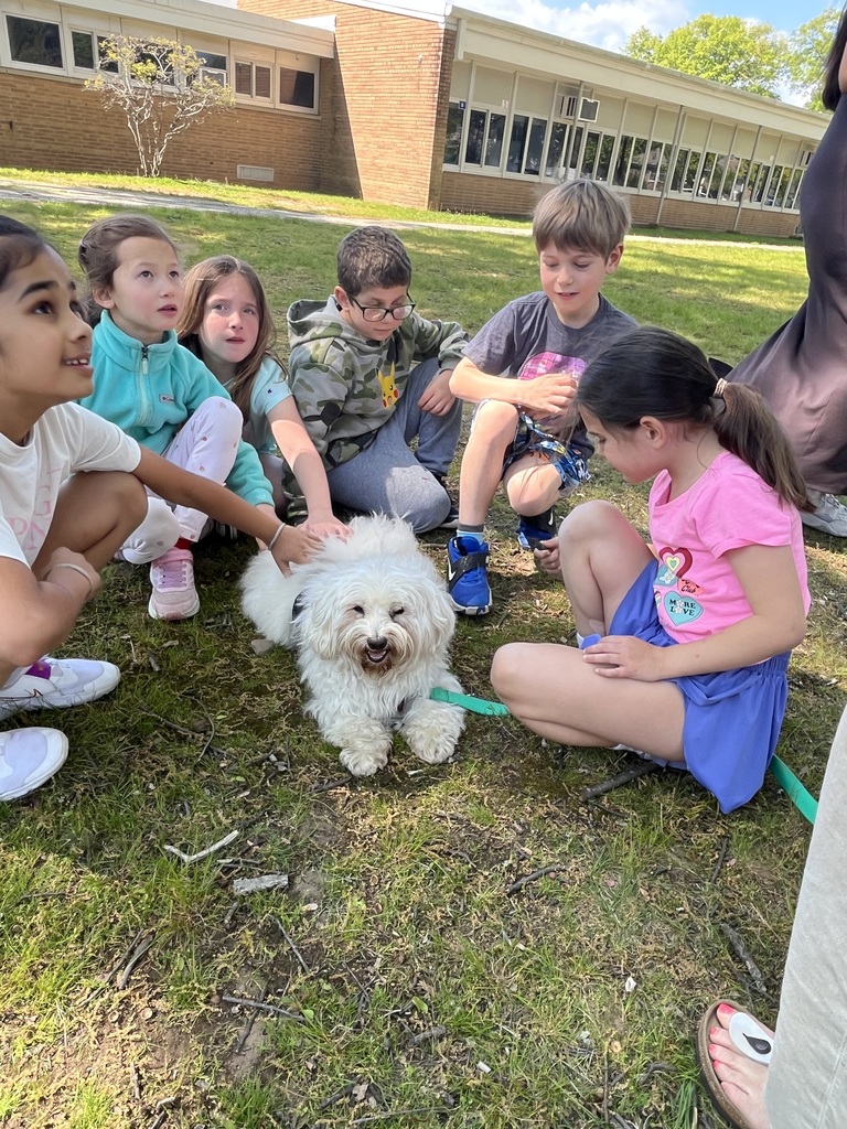 Students all want to pet the therapy dog.