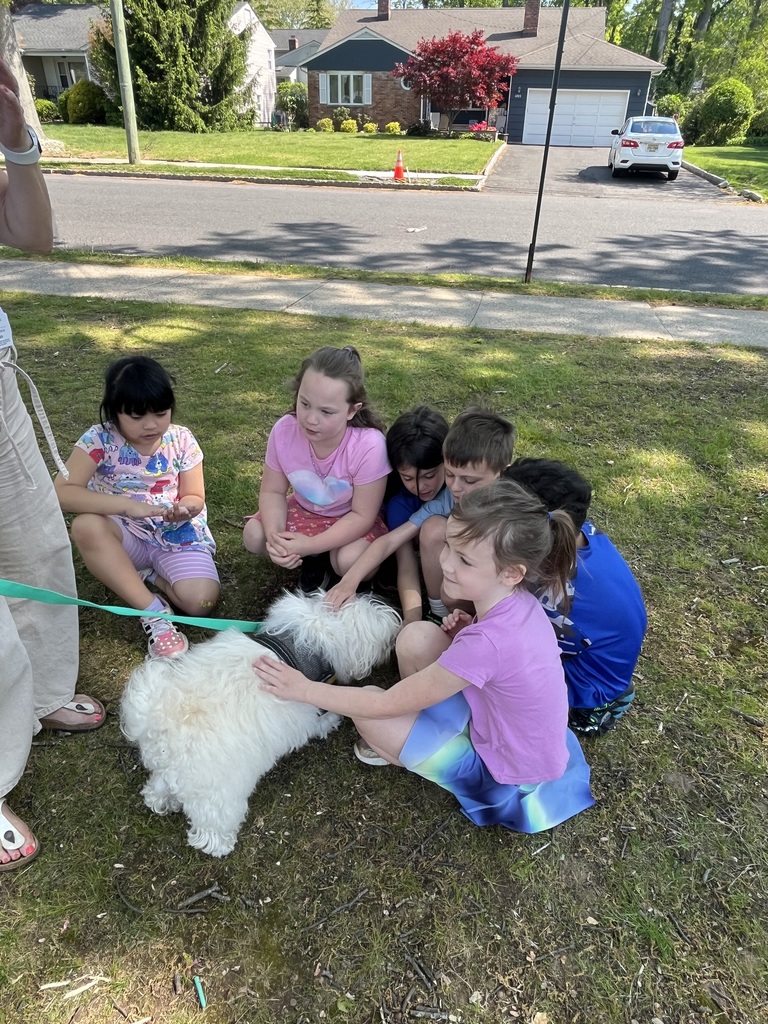 Students all want to pet the therapy dog.