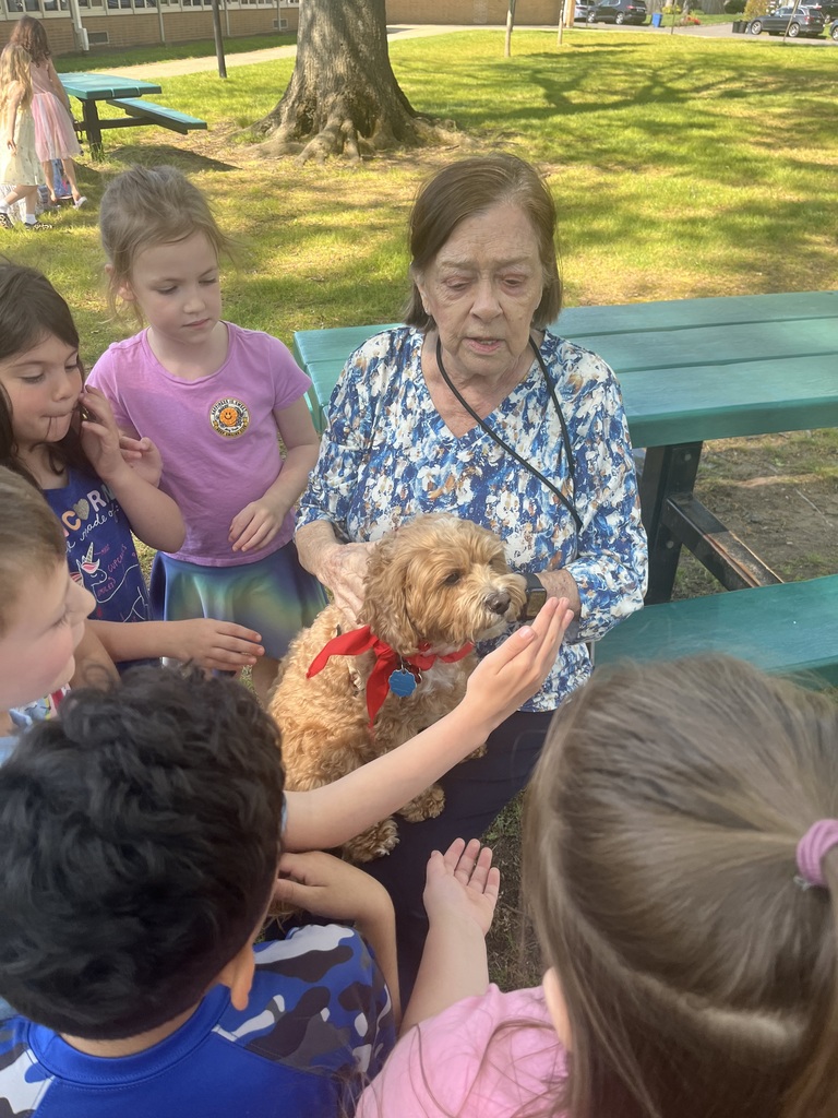 Dog owner answers student questions as they pet the therapy dog.