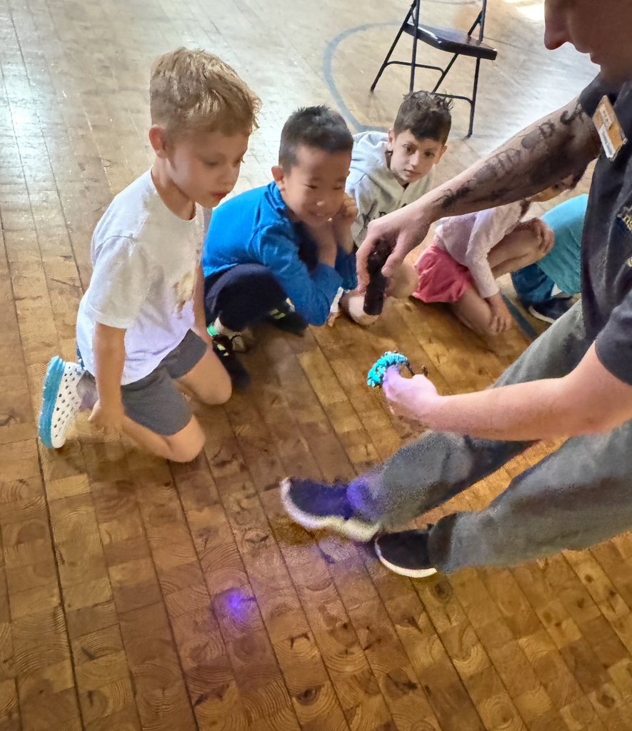 students looking at presenter holding a bug